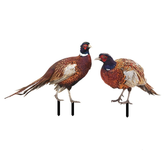 2 Pack Garden Pheasants Stake Decorative Yard Patio Lawn Acrylic Stake Art Decor