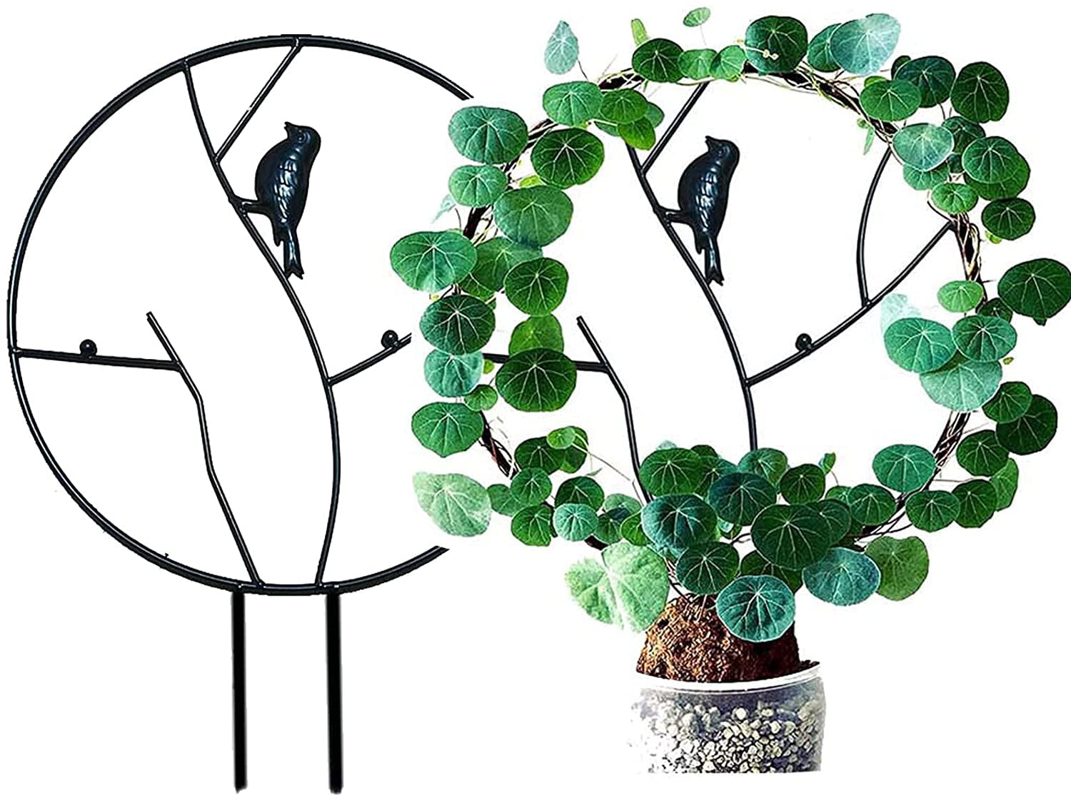 2 Pack Garden Trellis for Climbing Plants, Metal Plant Trellis for