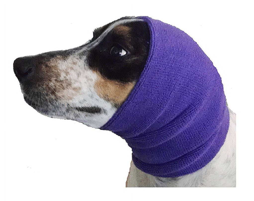 Dog ear band sales