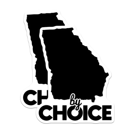 (2 Pack) Georgia State Magnets - by Choice - Refrigerator Magnets - 5" On Longest Side - Premium Magnet - for Cars, Refrigerators, Toolboxes, Lockers - Made in USA - MAG17738