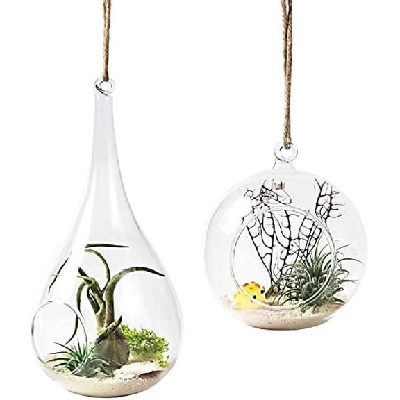 2 Pack Glass Hanging Planter Air Fern Holder Terrarium Plants Hanger Vase Home Christmas Decoration Gift Idea for Succulent Moss Tillandsias Air Plants, Globe and Teardrop$$Garden & Patio