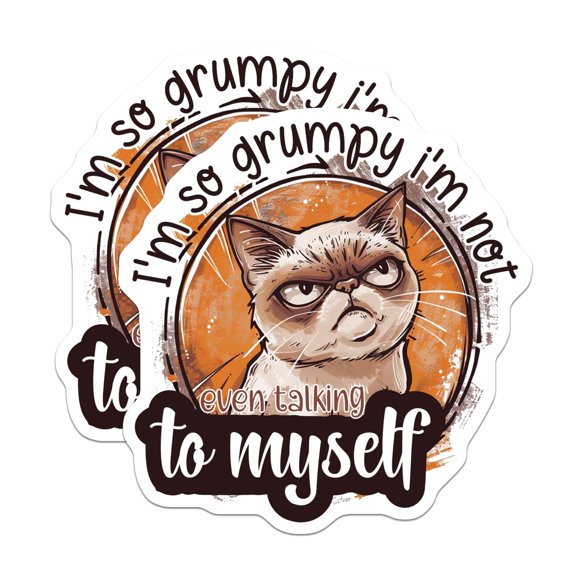 (2 Pack) Grumpy Cat Magnets - Funny Sarcastic Meme Quote - Pet Lover Animal Humor - Introvert Mood Decor - 5 Inches On Longest Side - Thick Durable Magnet - Made in USA