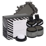 2 Pack Hairline Powder Root Touch-Up Temporary Concealing Powder Gray