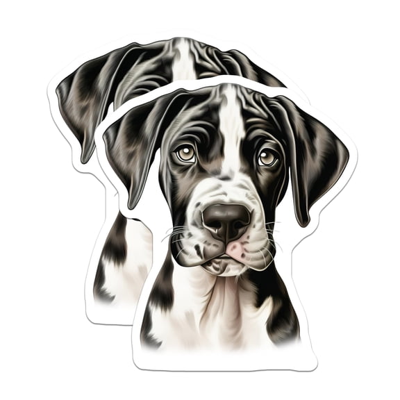 (2 Pack) Harlequin Great Dane Magnets - Cute Puppy Dog Lover - Pet Parent Fridge Decor - 5 Inches On Longest Side - Thick Durable Magnet - Made in USA - MAG29189