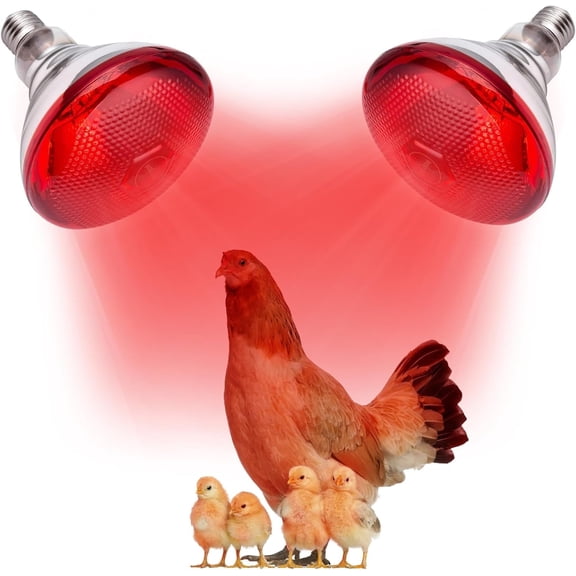2-Pack Heat Bulb for Chicks, 150 Watt Reptile Heating Lamp for Leopard Gecko and Bearded Dragon, Infrared Basking Light