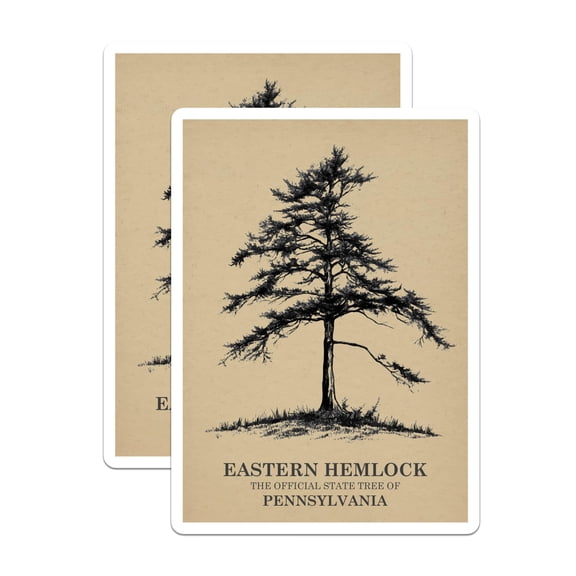 (2 Pack) Hemlock Tree Magnets - Pennsylvania State Tree - Nature Art Magnets - 5" On Longest Side - Premium Magnet - for Cars, Refrigerators, Toolboxes, Lockers - Made in USA - MAG18355