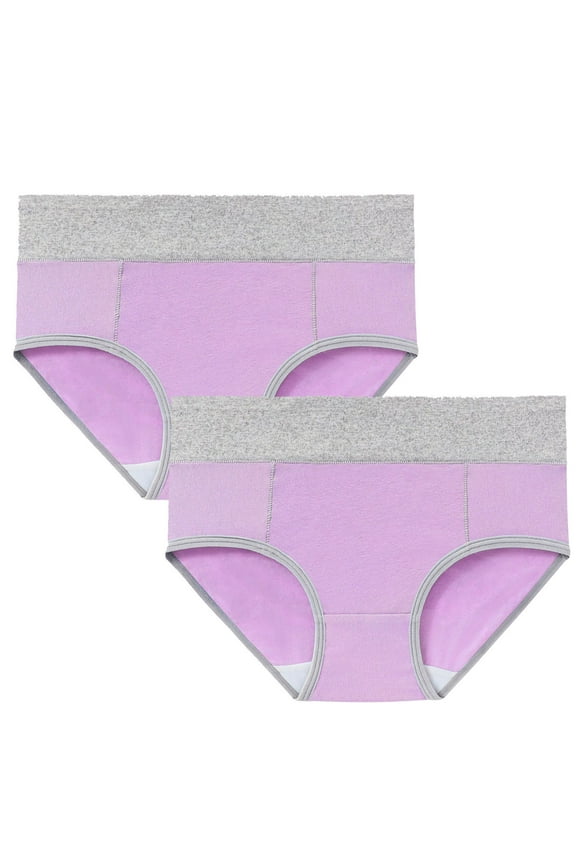 2 Pack High Waist Panties for Women Tummy Control Plus Size Cotton Underwear Full Coverage Comfy Ladies Briefs 4XL