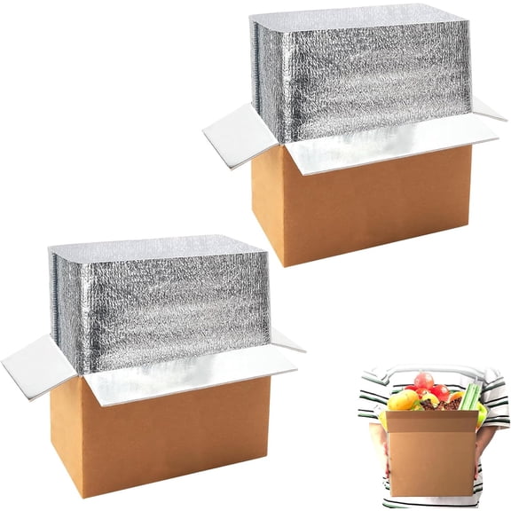 2 Pack Hot & Cold Double Insulated Shipping Box with Aluminum Foil Bag Liner, Reusable Frozen Food Delivery Carton for Shipping, Mailing, Packing, 9.8x5.8x7.5 Inch