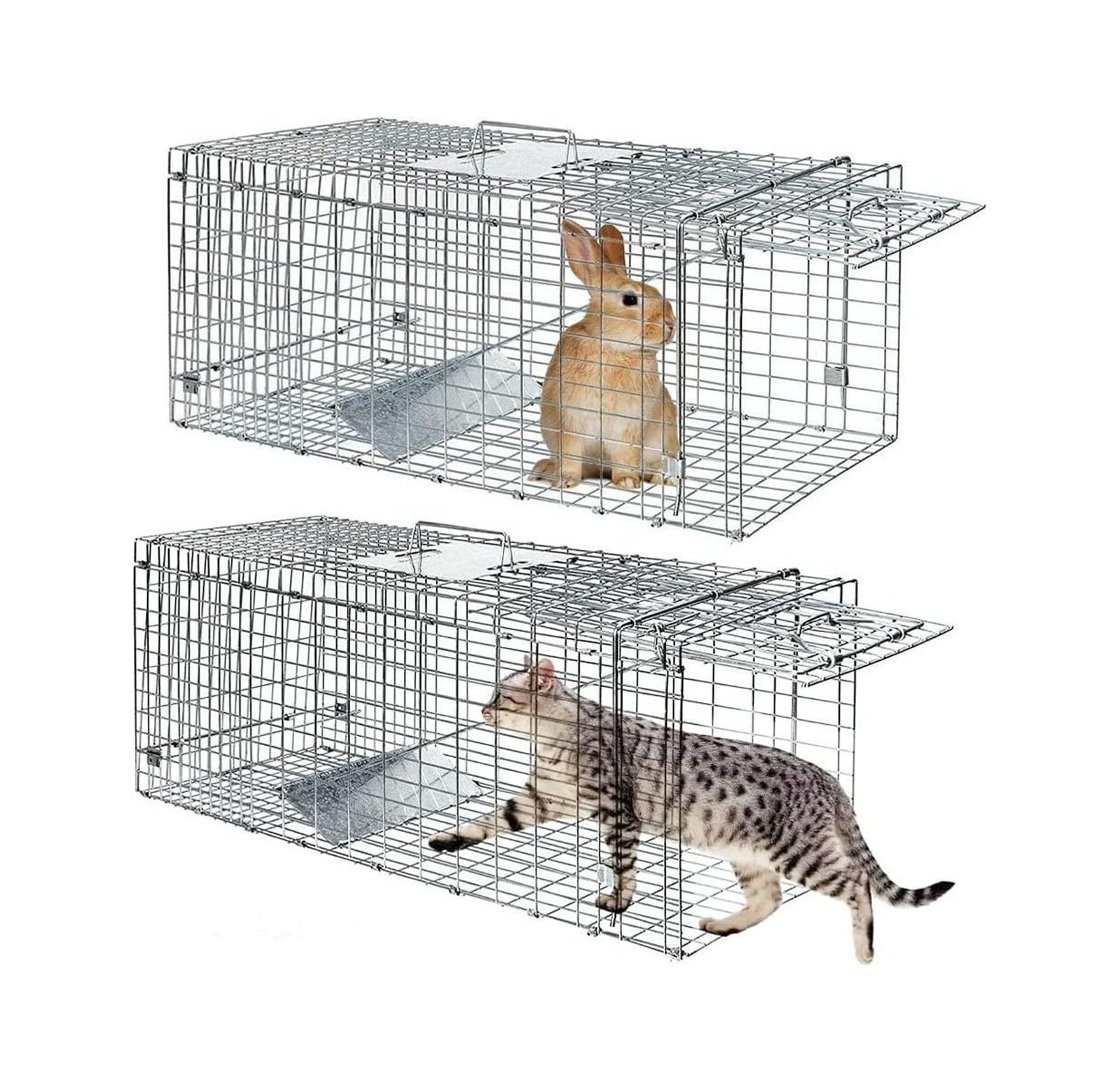 2 Pack Humane Cat Trap for Stray Cats 24x8x7 Live Animal Trap Live Traps  for Cats Racoon Possum Rabbit Squirrel Mouse Small Animal Trap Outdoor  Indoor Collapsible Steel Humane Release Animal Cage 