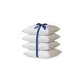 thumbnail image 1 of 2-Pack Hypoallergenic Down-Alternative, Throw Pillow Inserts (20" x 20"), 1 of 5