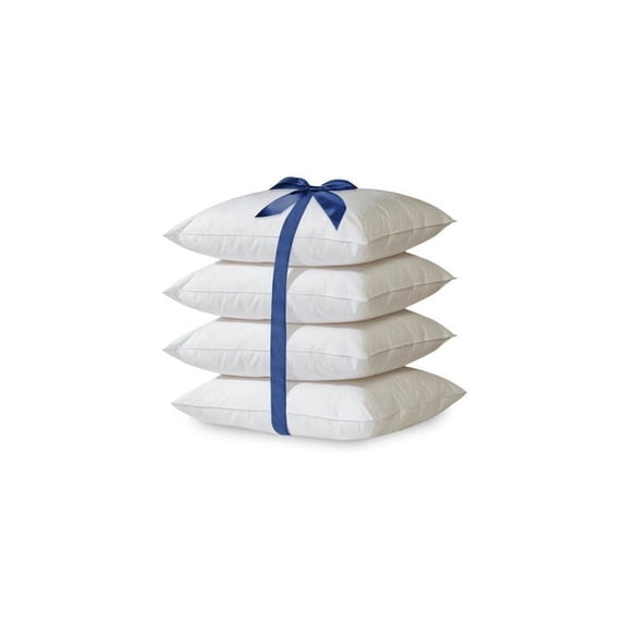 2-Pack Hypoallergenic Down-Alternative, Throw Pillow Inserts (20" x 20")