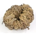 thumbnail image 1 of 2-Pack Incense Garden Rose of Jericho Flower The Resurrection Plant, 1 of 5