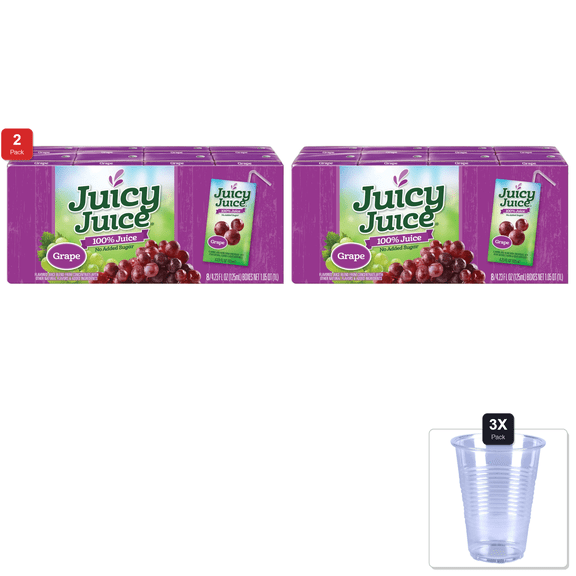 2 Pack | Juicy Juice Grape, 4.23 Ounce Boxes, 8 Count (Pack Of 5) & 3x Disposable Cup