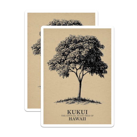 (2 Pack) Kukui Tree Magnets - Hawaiian State Tree - Nature Botanical Refrigerator Magnets - 5" On Longest Side - Premium Magnet - for Cars, Refrigerators, Toolboxes, Lockers - Made in USA - MAG18089