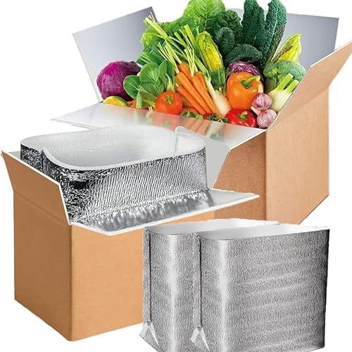 2 Pack Large Thermo Chill Double Insulated Shipping Box, with Aluminum ...