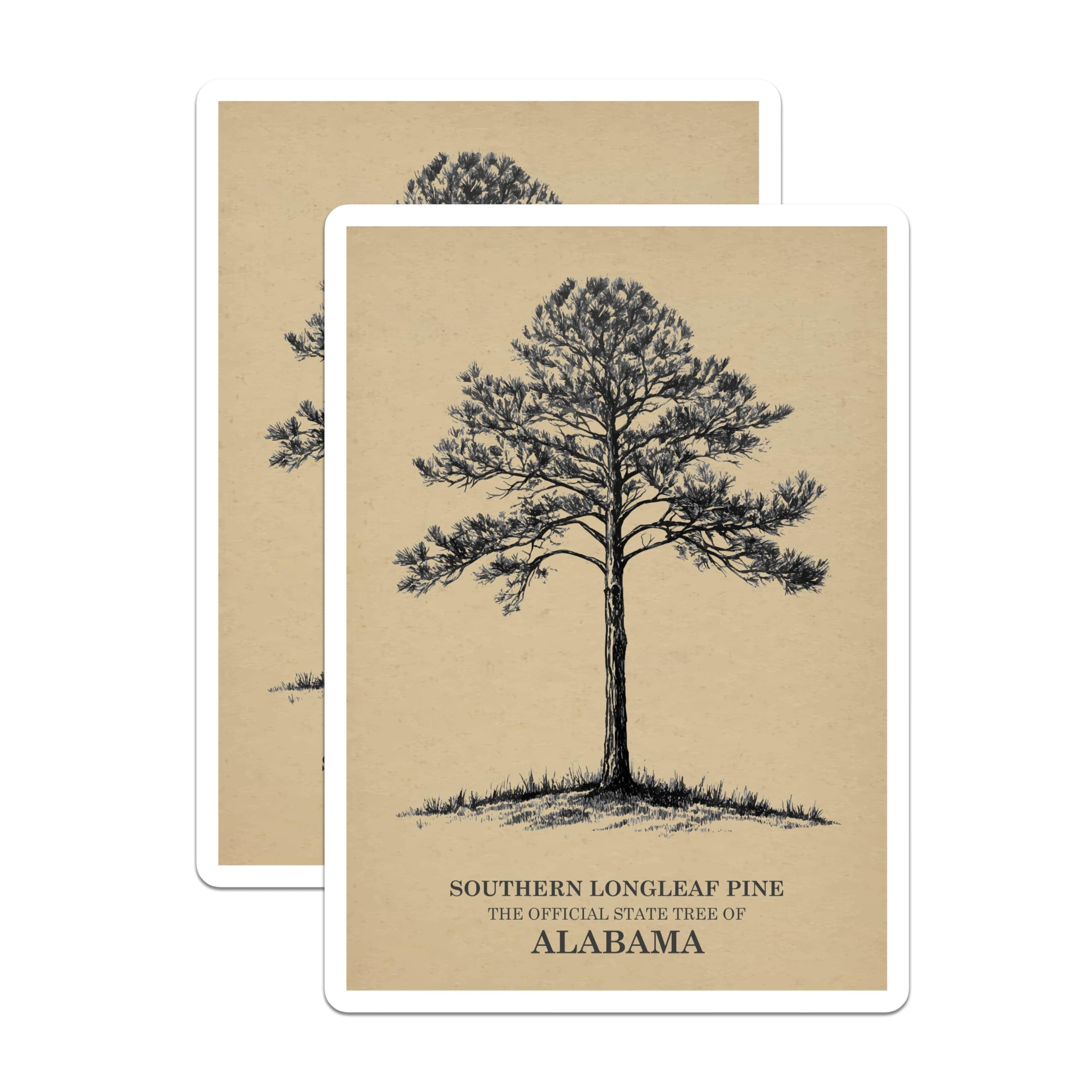 (2 Pack) Longleaf Pine Stickers - Alabama State Tree - Southern Tree ...