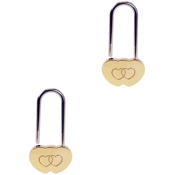 2 Pack Love Lock Everlasting Concentric Romantic Gift Lovers