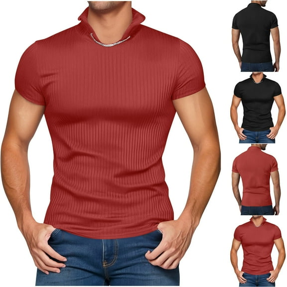 2 Pack Mens T Shirts Short Sleeve Stand Collared Tees Tops Trendy Solid Color Stretchy Slim Pullover Breathable Basic Going-Out Streetwear Tshirts Shirt