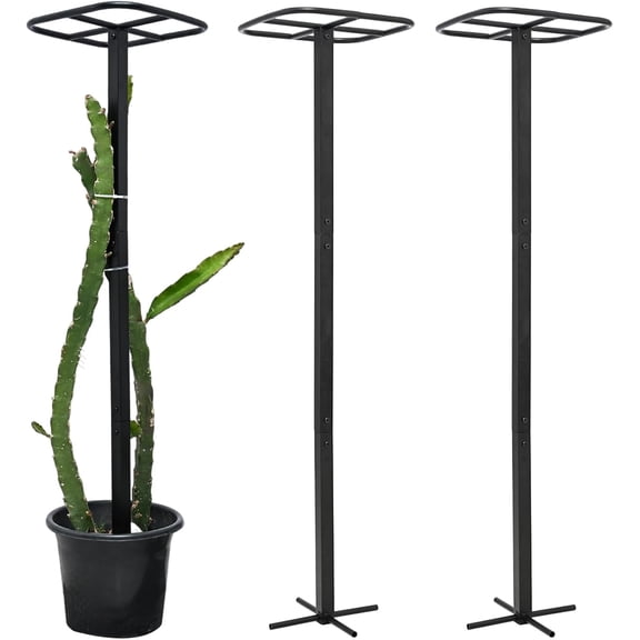 2-Pack Metal Dragon Fruit Trellis - Durable Vertical Garden Support for Climbing Plants, Easy to Assemble, 12x12x50 Inches for Dragon Fruit Enthusiasts