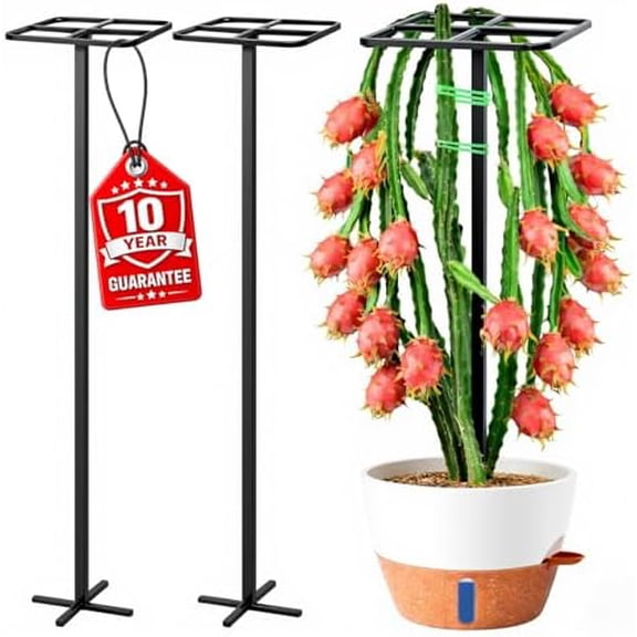 2-Pack Metal Dragon Fruit Trellis Support Set, 12" x 48" Outdoor Garden Plant Cage for Climbing Vines, Includes Stretch Plant Ties, Heavy-Duty Weather-Resistant Trellis for Tomatoes, Roses, Jasmine$$