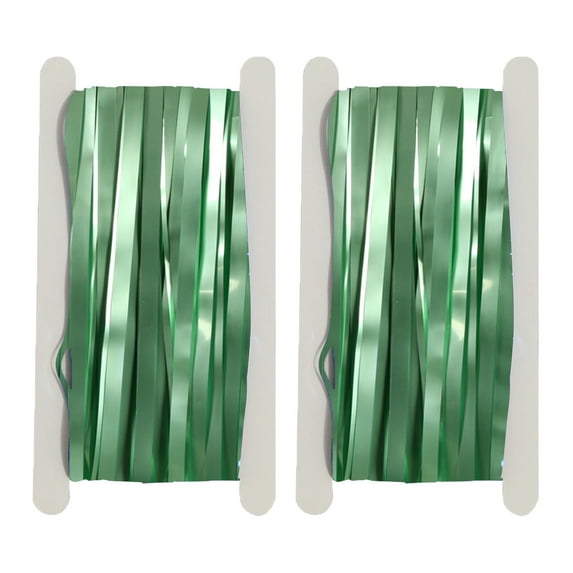 2 Pack Metal Foil Matte Tassel Curtain Party Decor For Props Festive Celebration Party Decor, 1 x 2m