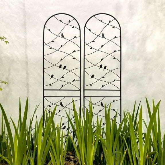 2 Pack Metal Garden Trellis, 86 Inch High Outdoor Decoration Arched Fence Trellis for Climbing Plants for Patio, Lawn, Yard, Backyard, Wall Brackets