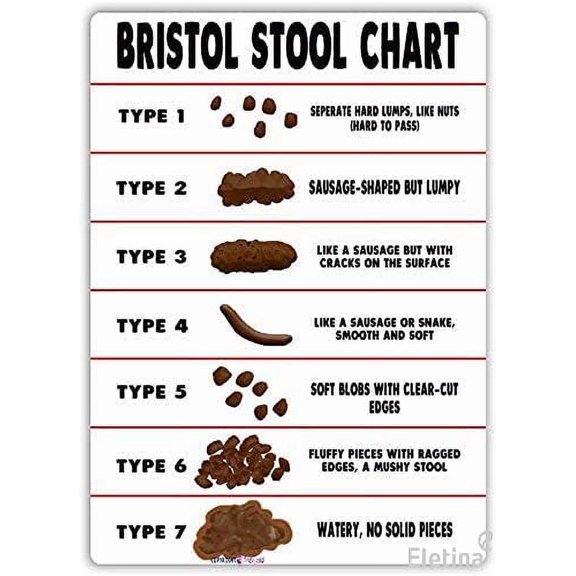 (2-Pack) Metal Tin Sign Bristol Stool Chart Metal Sign Poop Toilet Health Bathroom Indoor and Outdoor Retro Metal Wall Sign 8x12 inches