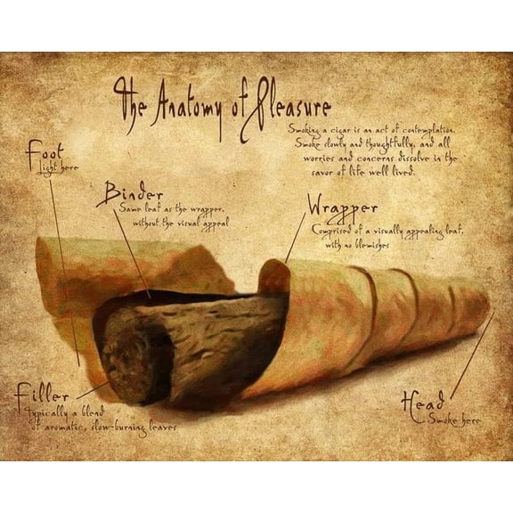 (2-Pack) Metal Tin Sign Retro Metal Tin Sign - Cigar Poster 12x8 Inches - Man Cave Decor Theology of Pleasure - Waterproof Wall Plate