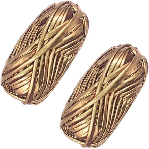 2 Pack Metallic T-Shirt Yarn , Fabric Cloth Knitting Yarn for Hand DIY Bag Blanket Cushion Crocheting Projects