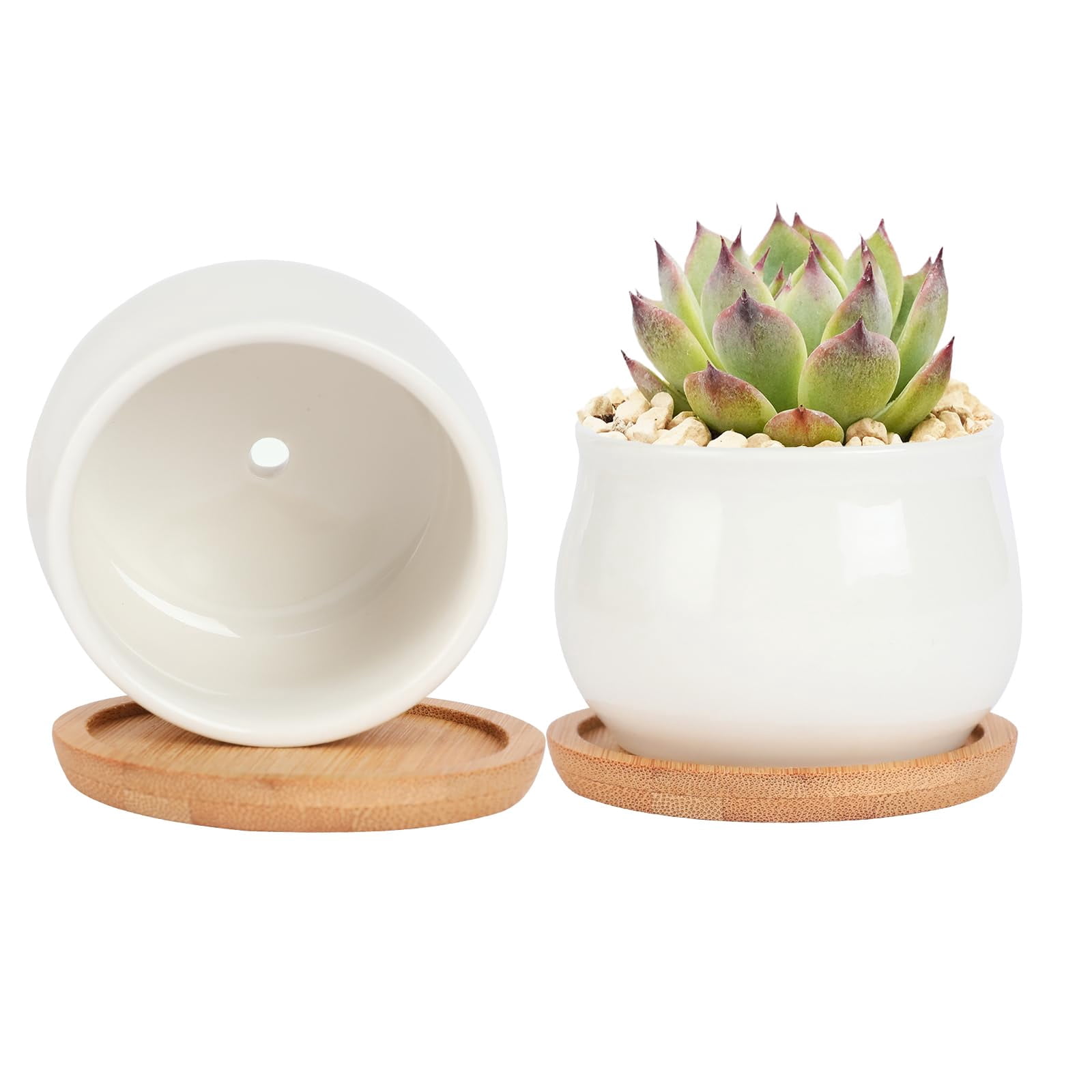 2 Pack Mini Ceramic Succulent Pots 2.5 Inch with Drainage Hole, Small Flower or Cactus Planters for Indoor Gardening