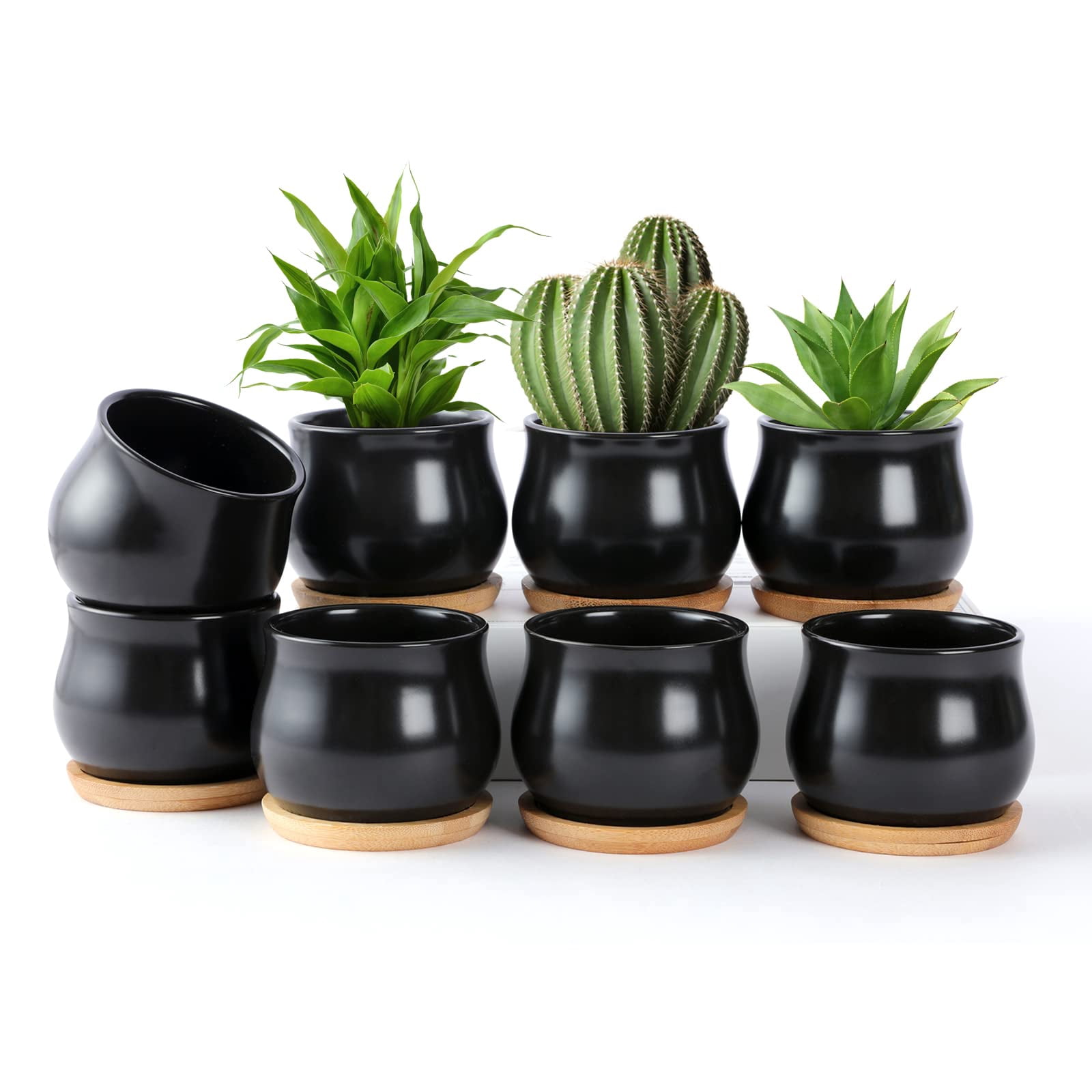 2 Pack Mini Ceramic Succulent Pots 2.5 Inch with Drainage Hole, Small Flower or Cactus Planters for Indoor Gardening