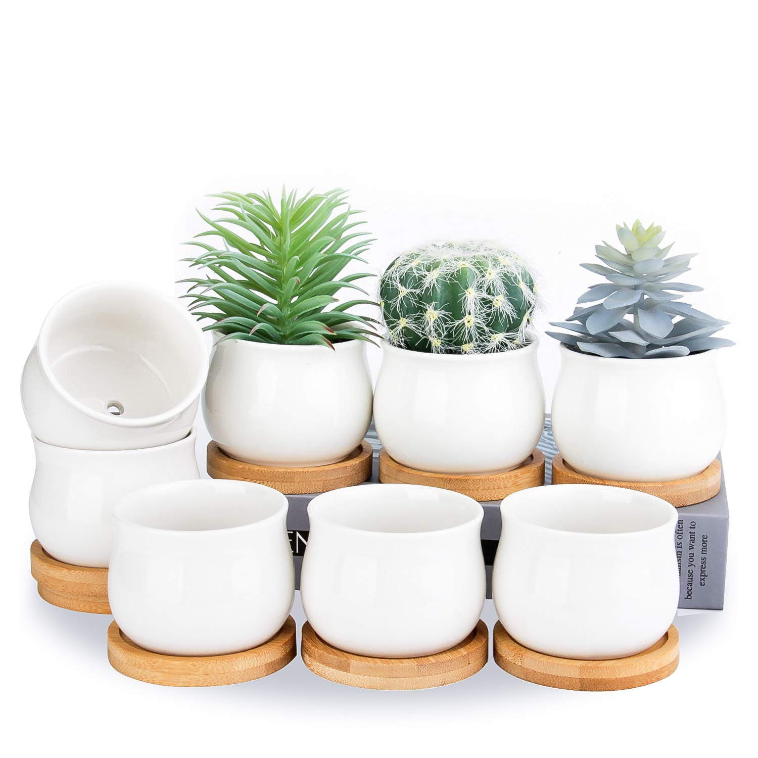 2 Pack Mini Ceramic Succulent Pots 2.5 Inch with Drainage Hole, Small Flower or Cactus Planters for Indoor Gardening