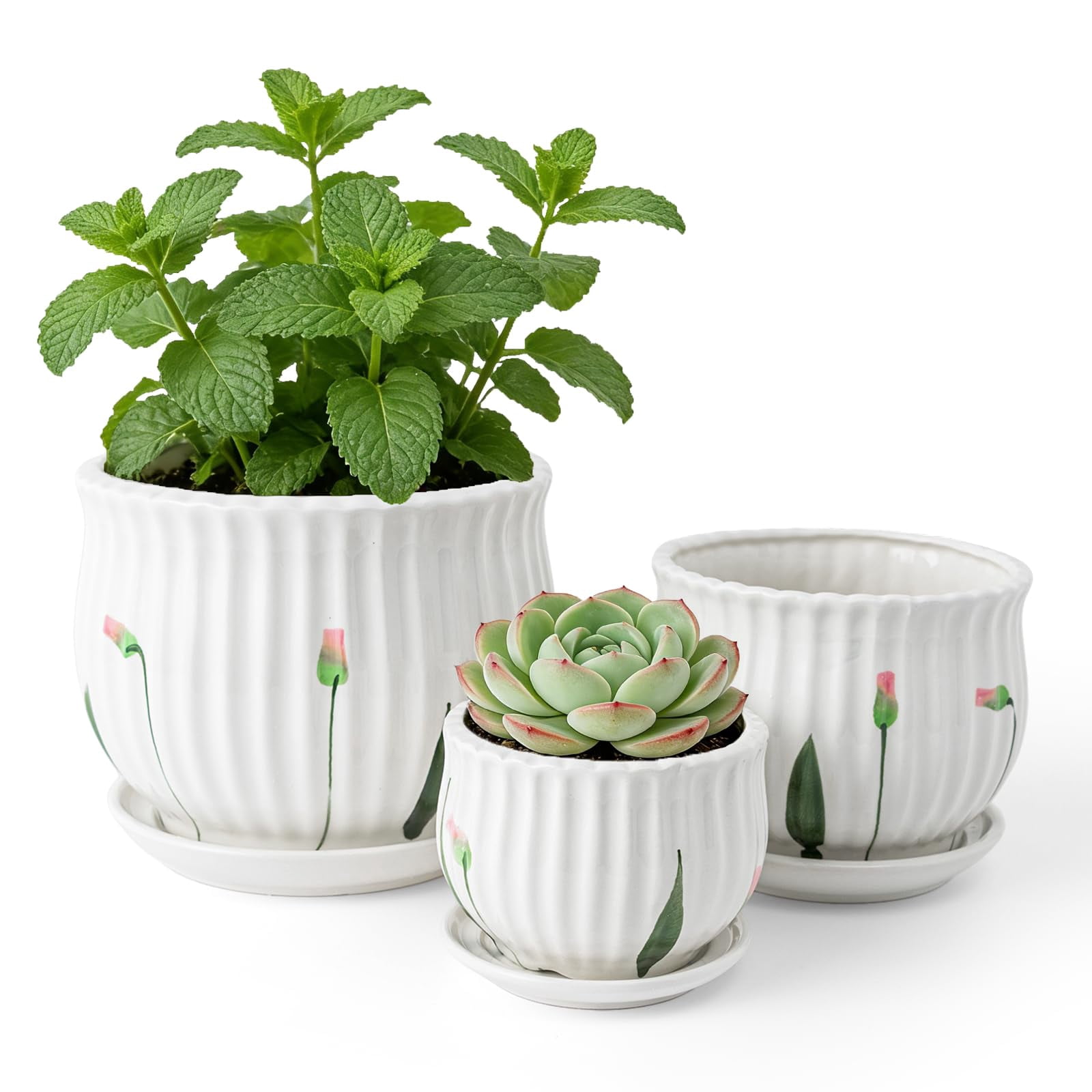 2 Pack Mini Ceramic Succulent Pots 2.5 Inch with Drainage Hole, Small Flower or Cactus Planters for Indoor Gardening