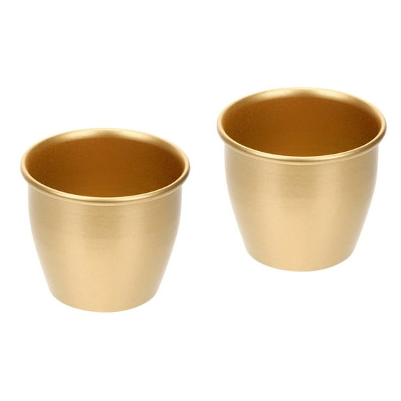 MERRYHAPY 2-Pack Mini Wrought Iron Flower Pots for Indoor Plants, Herbs, , and Small Flowers Decor