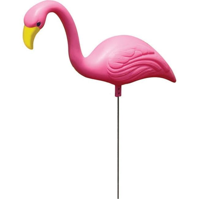 2 Pack Mini Mingo - Walmart.com