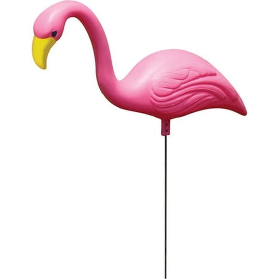 2 Pack Mini Mingo