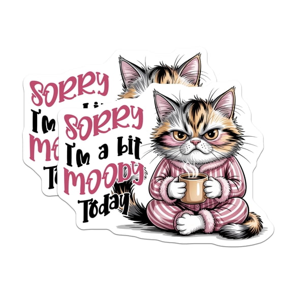 (2 Pack) Moody Cat Magnets - Funny Kitten Fridge Decor - Grumpy Cat Lover Gifts - 5" On Longest Side - Premium Magnet - for Cars, Refrigerators, Toolboxes, Lockers - Made in USA - MAG14436