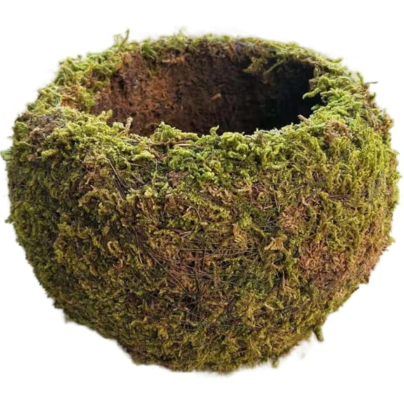 2-Pack Moss Ball, 6 Inch Decorative Moss Planter with 3 Inch Inner Pot for Orchids, Creative Bonsai Pots for Home Garden Decor (2 PCS)