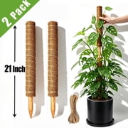 Moss Sticks for Climbing Plants Support