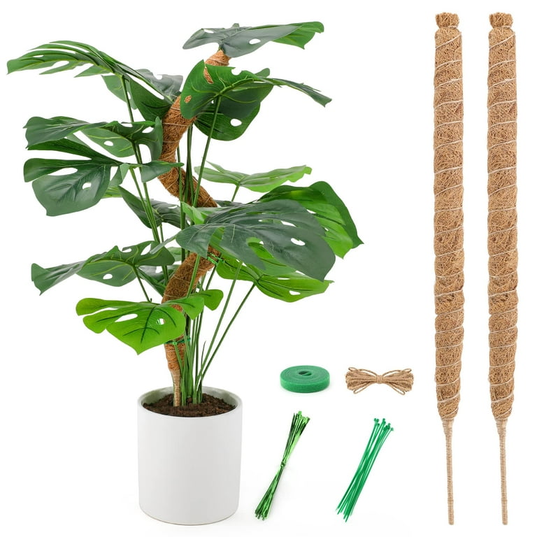 Moss Pole,Moss Pole for Plants Monstera,2 Pack Extending to 27inch Natural  Forest Moss Poles for Climbing Plants,Plant Poles for Potted Plants Indoor, Moss Stick Used Separately or Joined Together.… - Yahoo Shopping