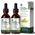 thumbnail image 1 of (2 Pack)Mullein Leaf Extract Drops, Mullein Leaf Extract Supplement for Immune Support,Detox & Respiratory Health Support, 2 Oz, 1 of 5
