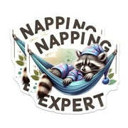 2 Pack Napping Expert Magnets - Cute Raccoon Magnet - Funny Sleepy Animal Magnet - 5" On Longest Side - for Cars, Fridges, Toolboxes - Made in USA - MAG4539