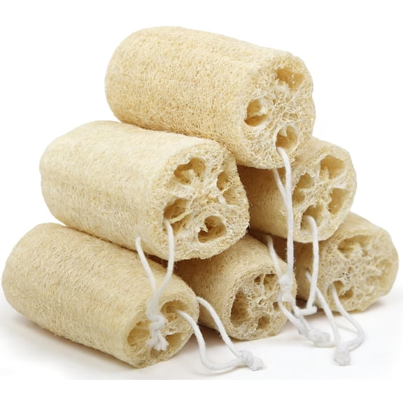 2 Pack Natural Exfoliating Loofah Luffa Loofa Bath Brush On a Stick, Shower Sponge Back Scrubber with Long Wooden Handle for Men & Women, Deep Clean and Invigorate Your Skin Back Brush