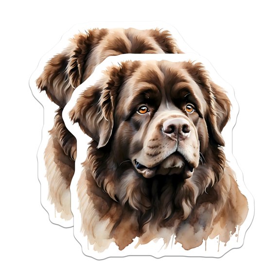 (2 Pack) Newfoundland Dog Magnets - Brown Newfie Portrait - Fridge Magnets - 5" On Longest Side - Premium Magnet - for Cars, Refrigerators, Toolboxes, Lockers - Made in USA - MAG16183