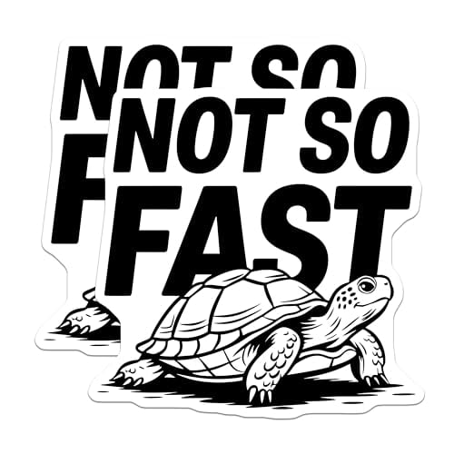 (2 Pack) Not So Fast Magnets - Turtle Design - Funny Motivational Magnets - 5" On Longest Side - for Cars, Fridges, Toolboxes - Made in USA - MAG5605