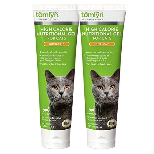 High calorie cat food for weight gain online