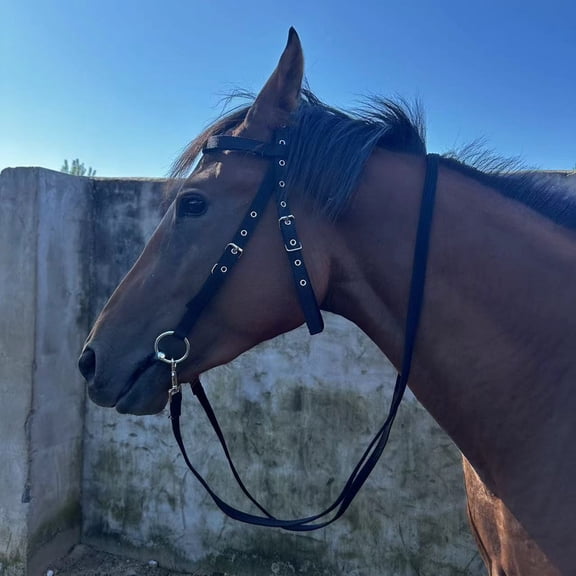 2-Pack Adjustable Nylon Horse Bridle Reins with Bungee Training Aid Headstall