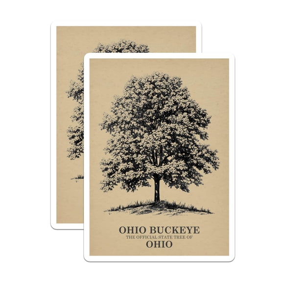 (2 Pack) Ohio Buckeye Tree Magnets - State Tree of Ohio - Botanical Illustration Decor - 5 Inches On Longest Side - Thick Durable Magnet - Made in USA - MAG19062