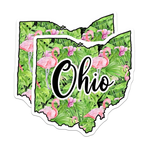 (2 Pack) Ohio Flamingo Magnets - State Pride - Tropical Decor Souvenir - 5" On Longest Side - Premium Magnet - for Cars, Refrigerators, Toolboxes, Lockers - Made in USA - MAG17696
