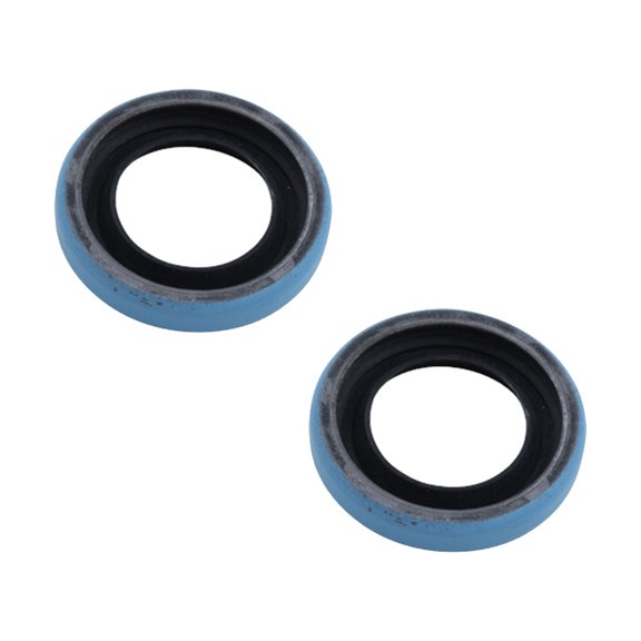 2 Pack Oil Seal Replaces 28-P-119, Chelsea 28P119,